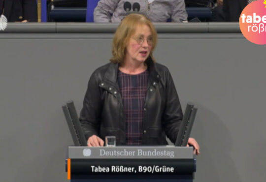 Bundestagsrede zum Entwurf des Digitale-Dienste-Gesetzes Copyright Deutscher Bundestag
