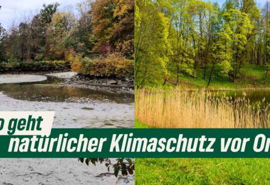 Natürlicher Klimaschutz vor Ort Copyright Tabea Rößner