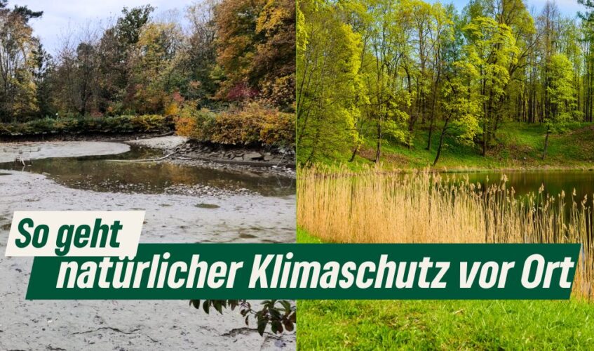 Natürlicher Klimaschutz vor Ort Copyright Tabea Rößner