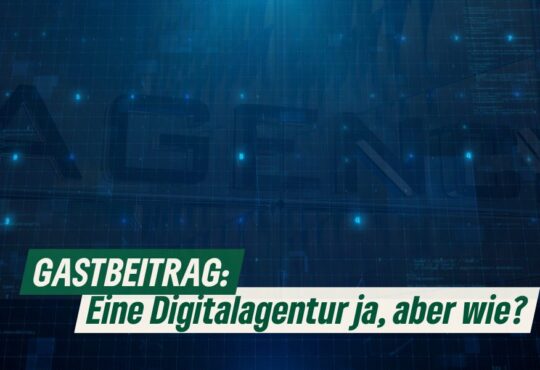 Gastbeitrag: Eine Digitalagentur ja, aber wie? Erstellt mit Canva - 29.4.24