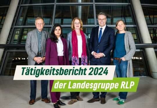 Abgebildet sind die Mitglieder der Landesgruppe der GRÜNEN Mitglieder des Deutschen Bundestags v.l.n.r.: Prof. Dr. Armin Grau, Misbah Kahn, Tabea Rößner, Dr. Tobias Lindner, Corinna Rüffer